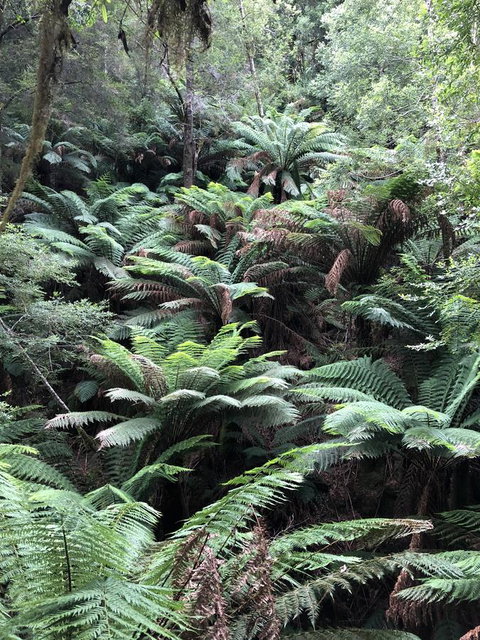 Corinna Wilderness Village - Accommodation Asia 12