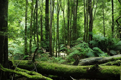 Corinna Wilderness Village - Accommodation Asia 37