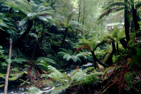 Corinna Wilderness Village - Accommodation Asia 41