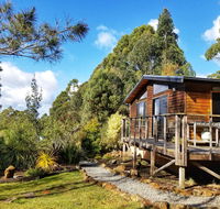 Southern Forest Accommodation - Accommodation Asia