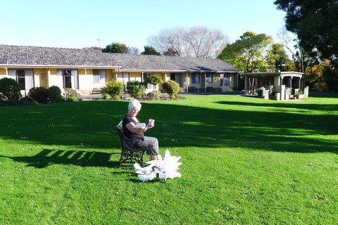 Willaway Motel Apartments - Accommodation Asia 10