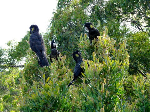 Eagles Rise Tasmania - Accommodation Asia 10
