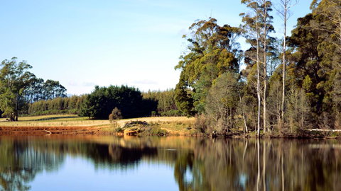 Buttons Cottage For Canyon & Rain Forest Walks With In House Dining - Accommodation Asia 29