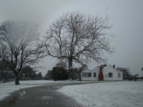 Buttons Cottage For Canyon & Rain Forest Walks With In House Dining - Accommodation Asia 11