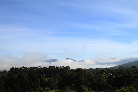 BIG.SHED.HOUSE - Accommodation Asia 11