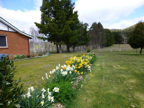 Quamby Pines Chalet - Accommodation China 19