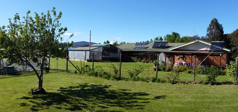 Quamby Pines Chalet - Accommodation China 1