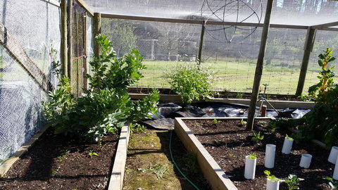 Quamby Pines Chalet - Accommodation China 17