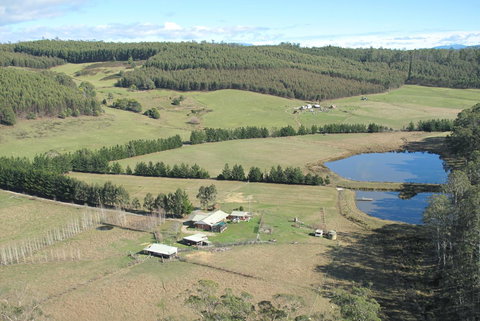 Quamby Pines Chalet - Accommodation China 7