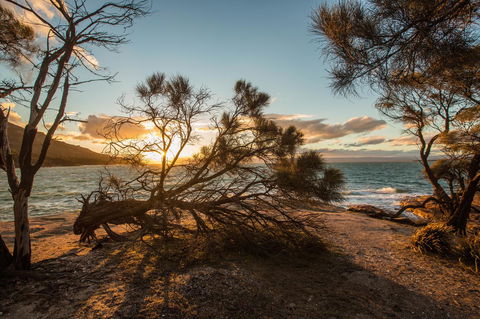 Freycinet Lodge - Accommodation Guide 44