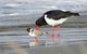Captain Cook Holiday Park - thumb 17