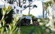 Captain Cook Holiday Park - thumb 31