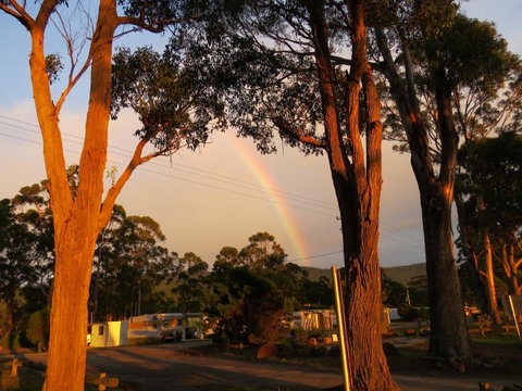 Captain Cook Holiday Park - Accommodation Guide 12