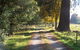 Drumreagh Cabins - thumb 5