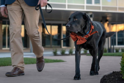 Peppers Silo - Accommodation Guide 44