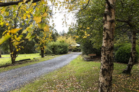 Cradle Forest Inn - Accommodation Asia 36
