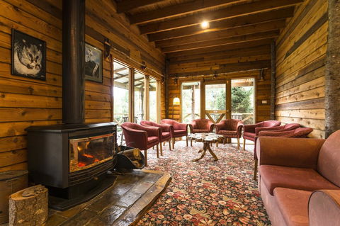 Cradle Forest Inn - Accommodation Asia 1