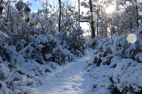 Cradle Mountain Hotel - Accommodation Asia 4