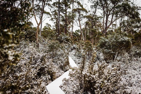 Cradle Mountain Hotel - Accommodation Asia 6