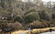 Peppers Cradle Mountain Lodge - thumb 22