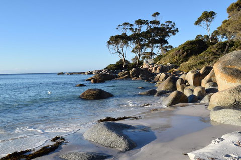 Anchor Wheel Motel - Accommodation Asia 26