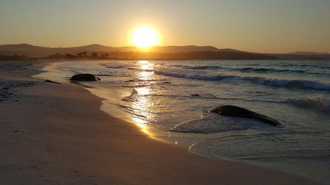 Anchor Wheel Motel - Accommodation Asia 25