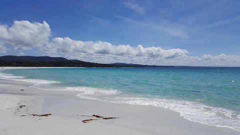 Anchor Wheel Motel - Accommodation Asia 21