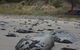 Beachside Taroona With Spa - thumb 21
