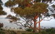 Beachside Taroona With Spa - thumb 18