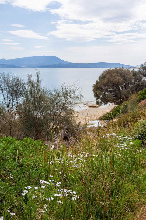 Blessington Beach Retreat - Accommodation Asia 37