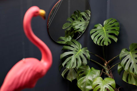 Alabama Hotel Hobart - Accommodation Guide 15