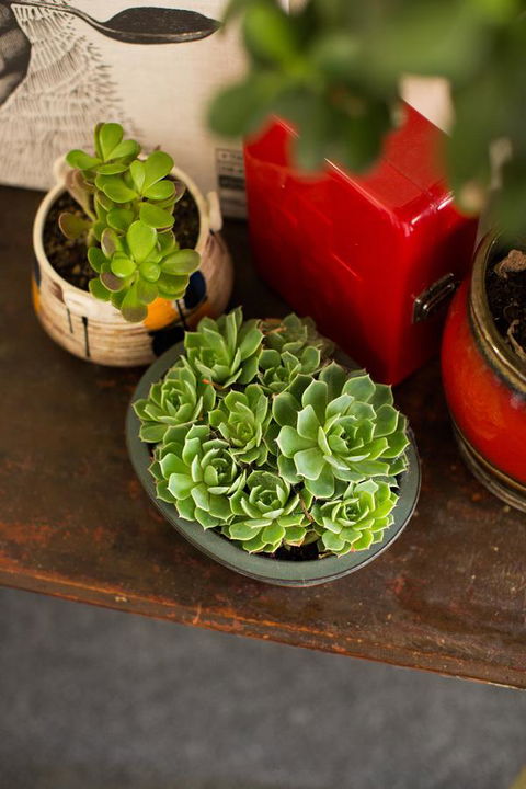 Alabama Hotel Hobart - Accommodation Guide 39