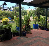 Blue Wren Bungalow - Accommodation Asia