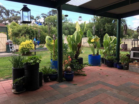 Blue Wren Bungalow - Accommodation Asia 0