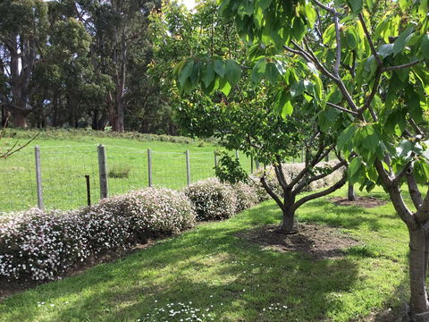 Nextdoor@portarthur - Accommodation Asia 18