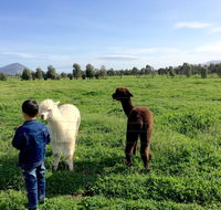 Taras Richmond Farmstay - Accommodation Asia