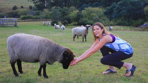 Ashdowns Of Dover - Accommodation China 26