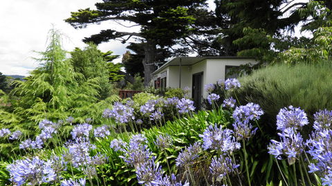 Tamar River Retreat - Accommodation Asia 28