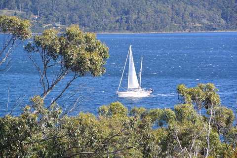 The Tree House - Accommodation Asia 5