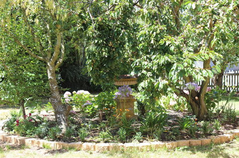 Bellamona - Accommodation Asia 23
