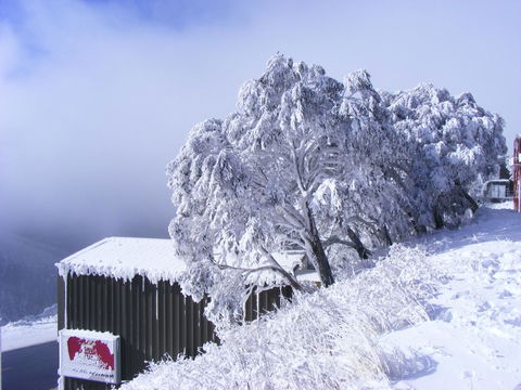 Arlberg Hotham - Accommodation Asia 15