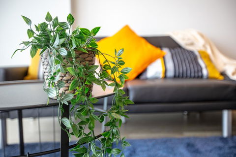 Brand New One/Two - Bed Room Apartment @ Maribyrnong - Accommodation Asia 0