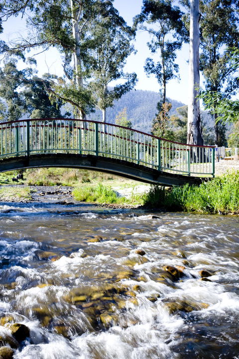 Tower Motel Marysville - Accommodation Asia 10