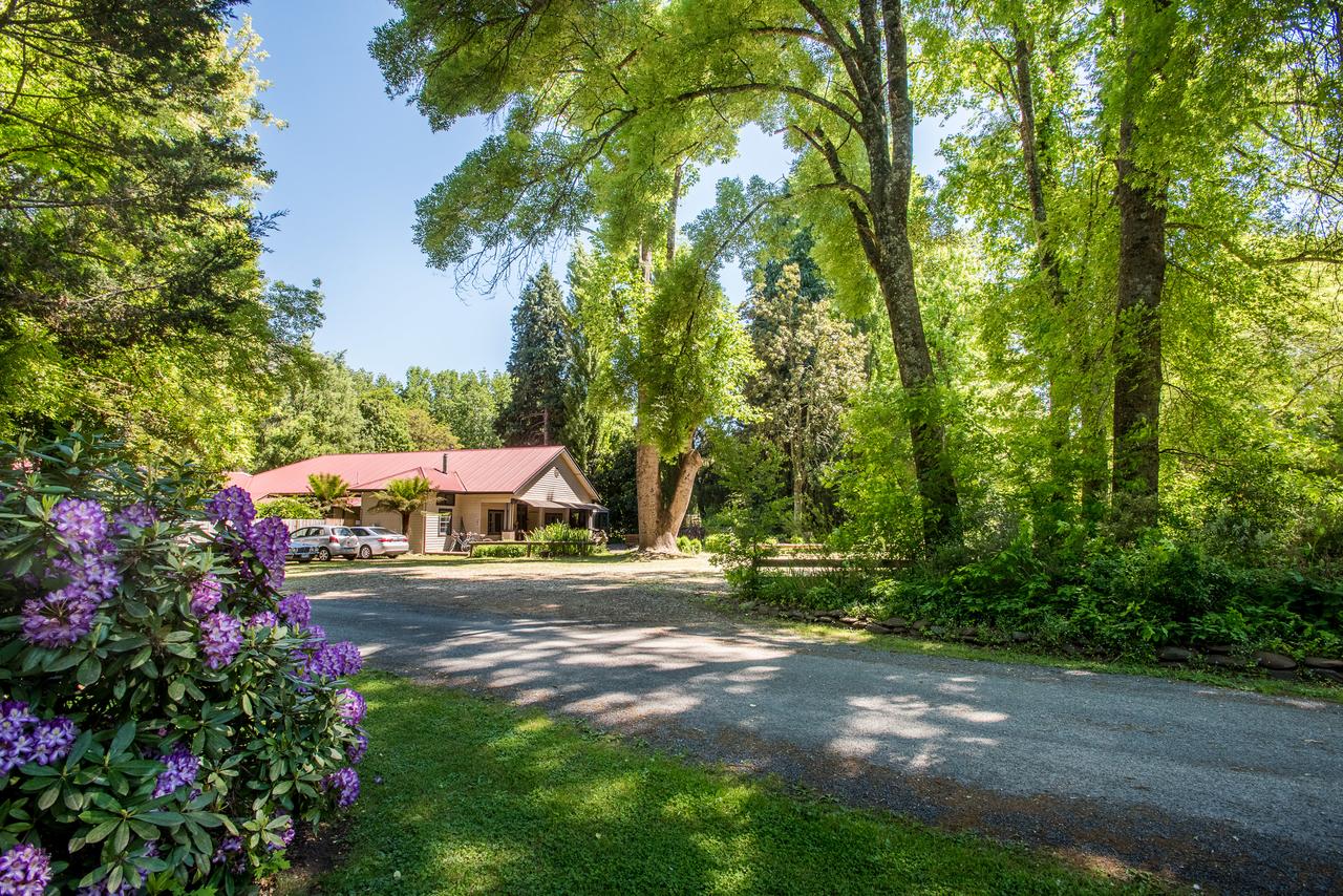 Harrietville VIC Accommodation Guide