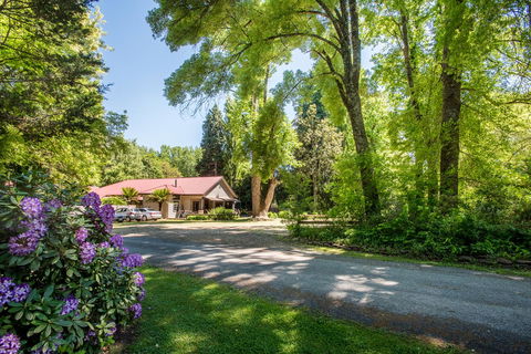Avalon House - Accommodation Guide 0