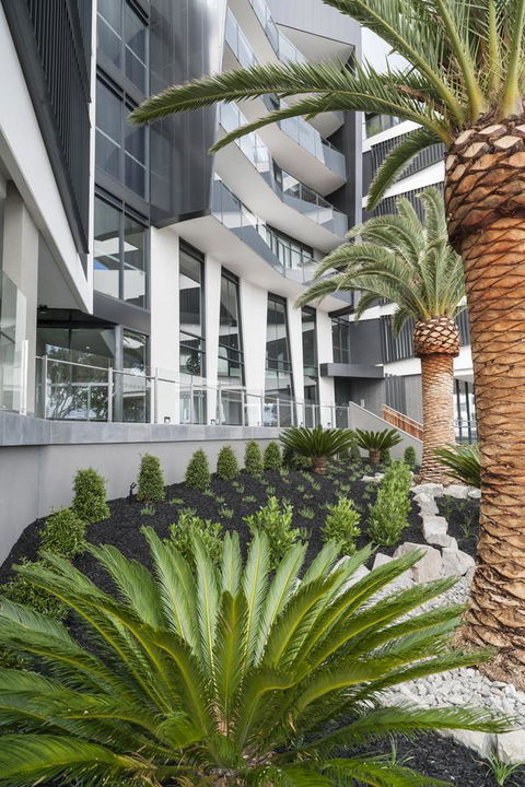 Caroline Serviced Apartments Sandringham - Accommodation Asia 3