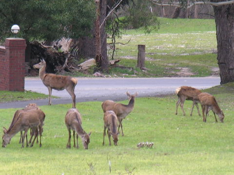 The Grampians Motel - Accommodation Asia 23