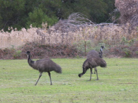 The Grampians Motel - Accommodation Asia 22