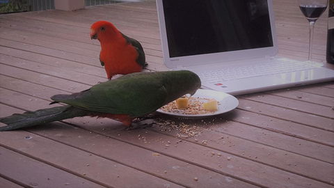 Wilsons Promontory Motel - Accommodation Asia 12