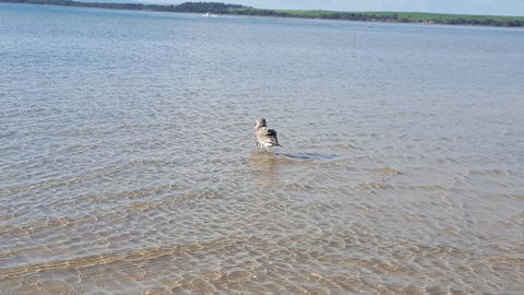 Wilsons Promontory Motel - Accommodation Asia 35